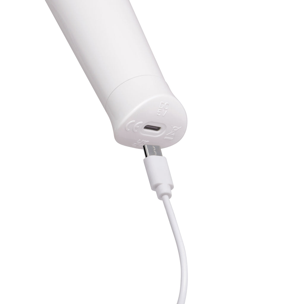 LE WAND CLASSIQUE PETITE WAND MASSAGER